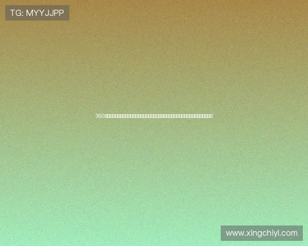 360休闲棋牌游戏带你体验最丰富多彩的休闲娱乐新玩法让你随时随地享受轻松愉快的棋牌娱乐体验