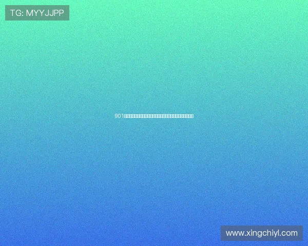 901棋牌娱乐提供多样化的棋牌游戏体验满足不同玩家的娱乐需求