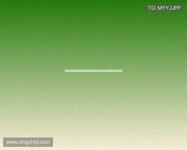 澳门新娱乐场利用先进技术优化世界杯直播体验,确保球迷享受高清流畅的赛事观看